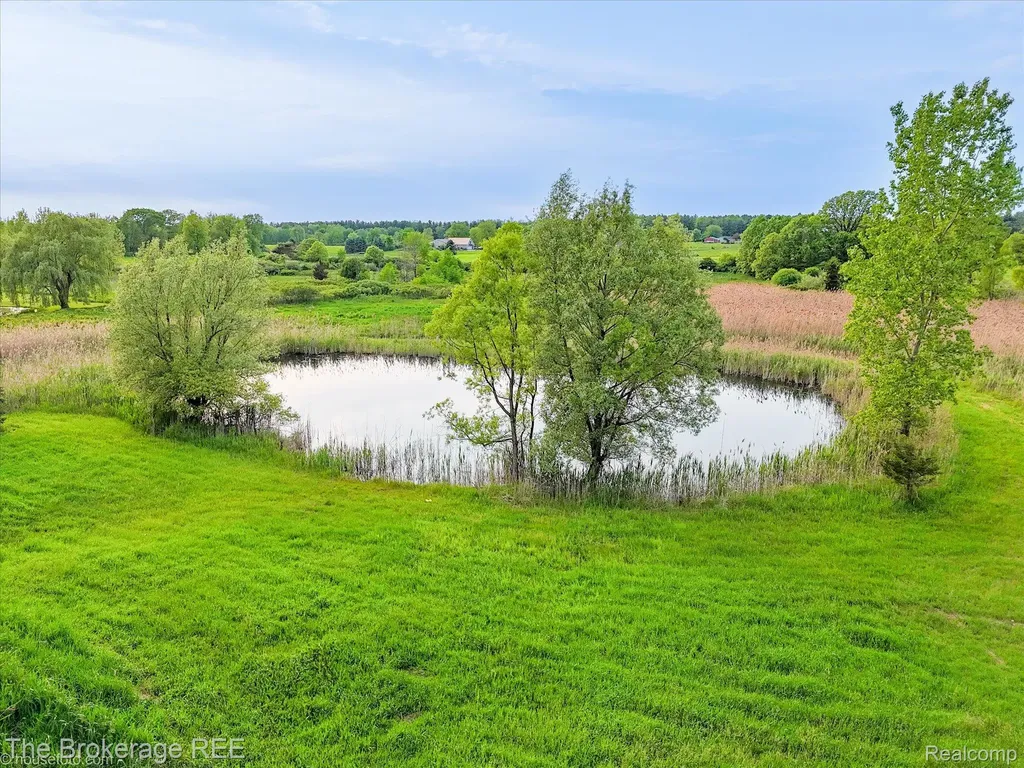 3020 Merwin Road Elba Township MI 48446