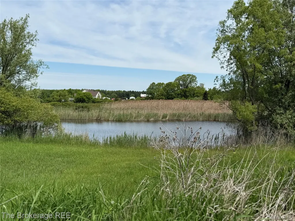 3020 Merwin Road Elba Township MI 48446