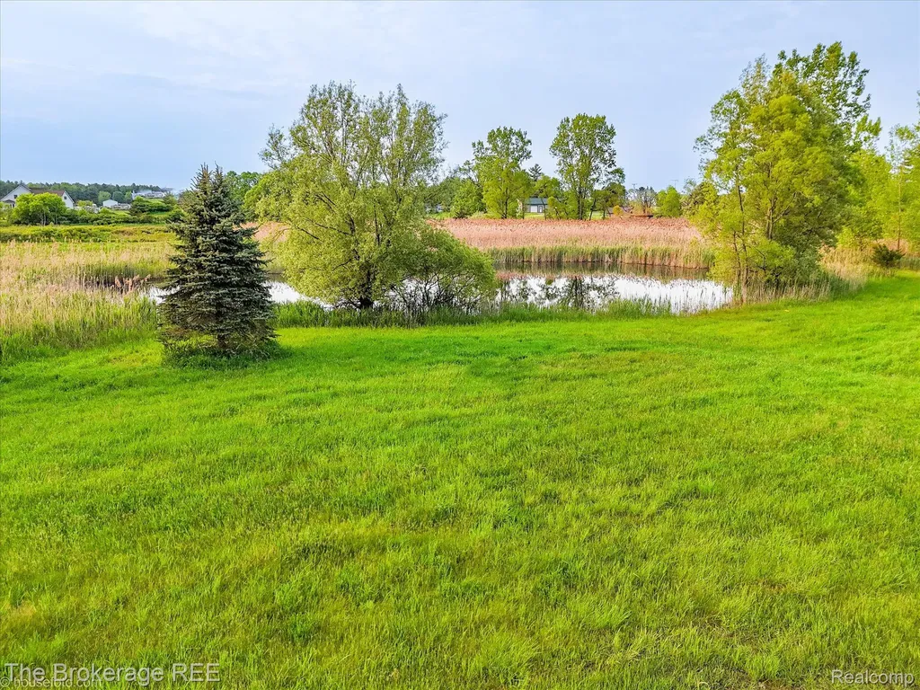 3020 Merwin Road Elba Township MI 48446