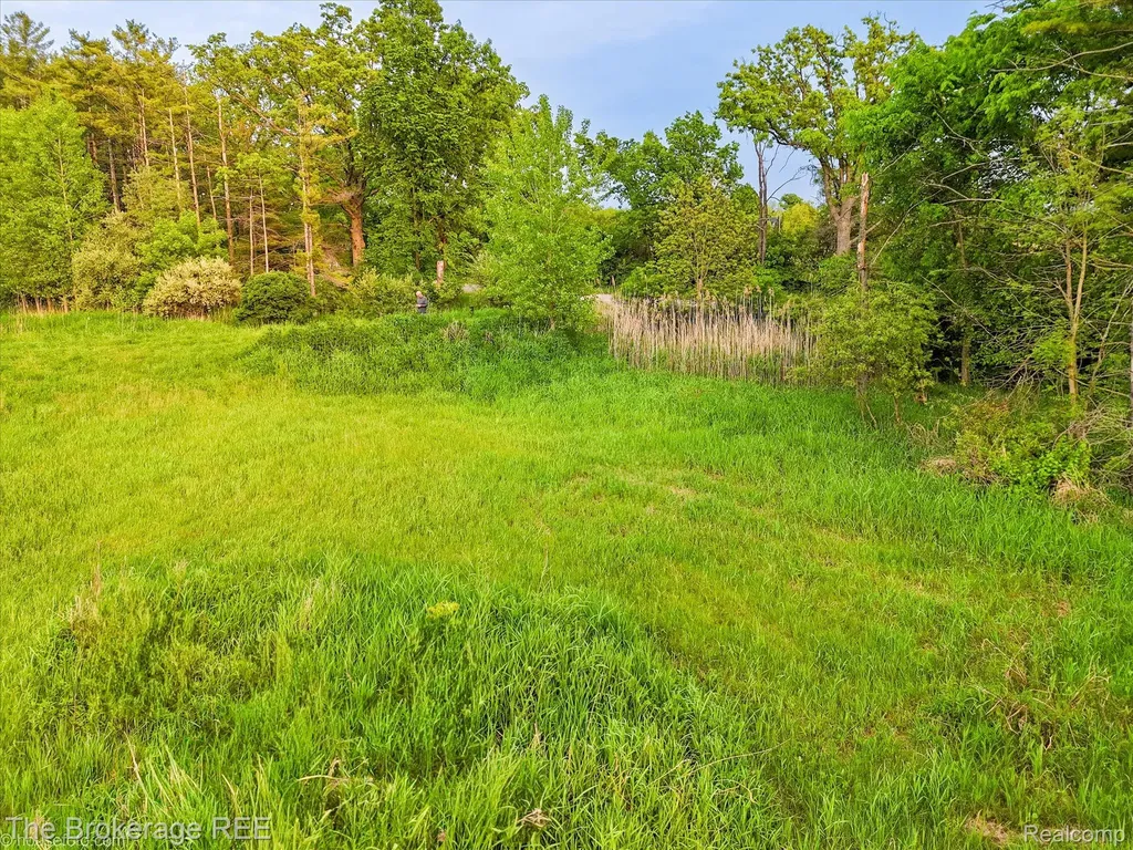 3020 Merwin Road Elba Township MI 48446