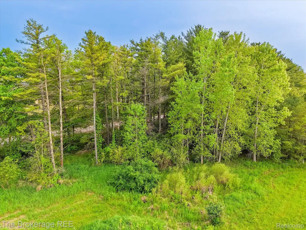 3020 Merwin Road Elba Township MI 48446
