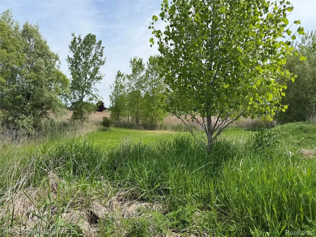 3020 Merwin Road Elba Township MI 48446