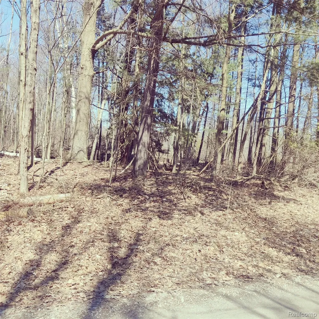 0 Schott Road Harbor Beach City MI 48441