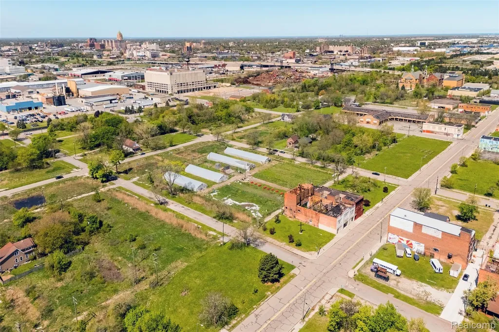 2282 E Kirby Street Detroit City MI 48211