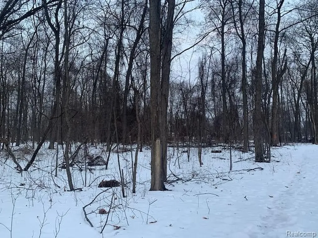 Vl Lot D Trl Chevron Highland Charter Township MI 48356