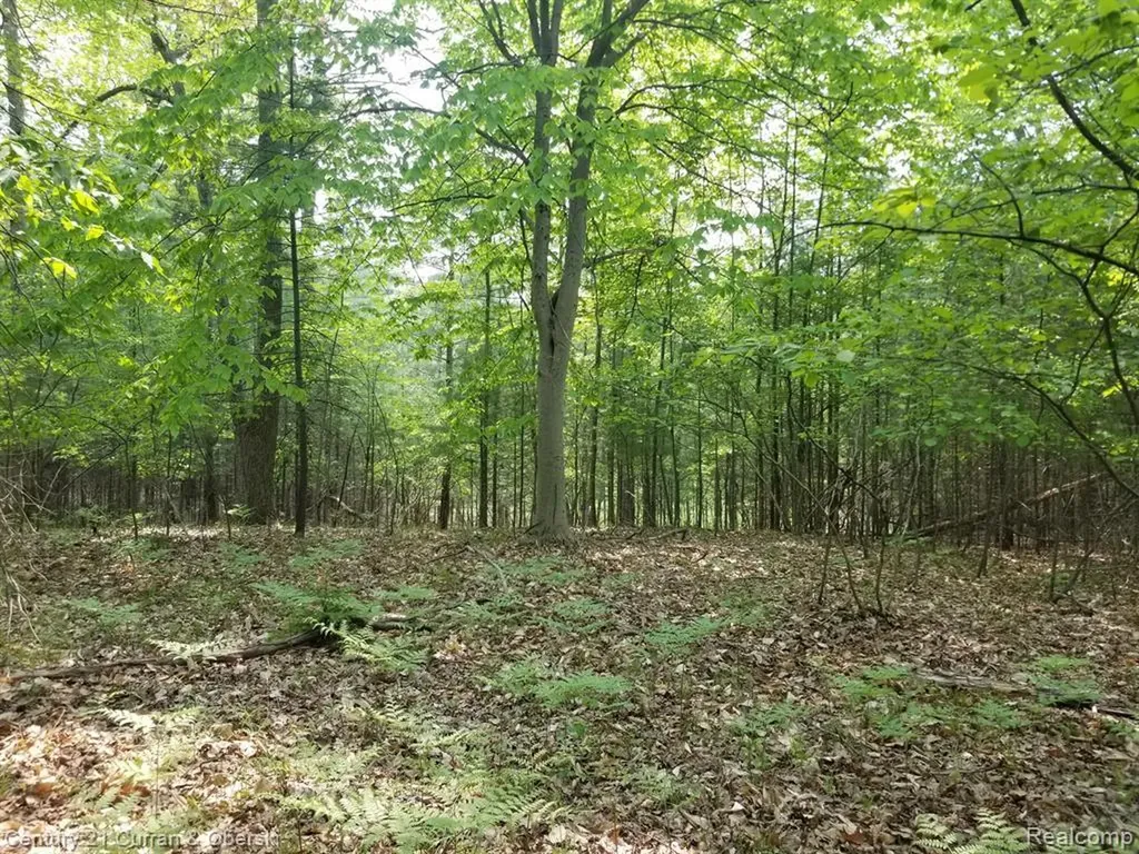 0000 Franklin Yates Township MI 49642