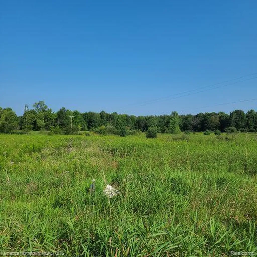 0000 7 Mile Road Salem Township MI 48178