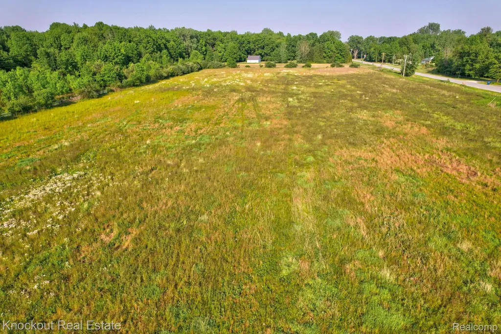 Vl Fort Road Bridgeport Charter Township MI 48415