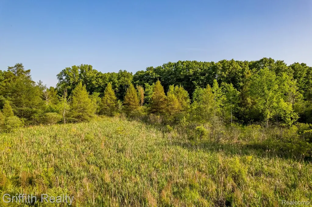 4433 Brighton Parcel B Road Genoa Township MI 48843