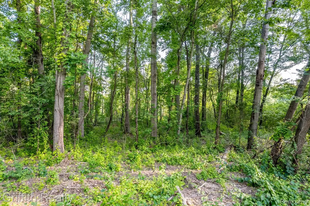 4433 Brighton Parcel B Road Genoa Township MI 48843