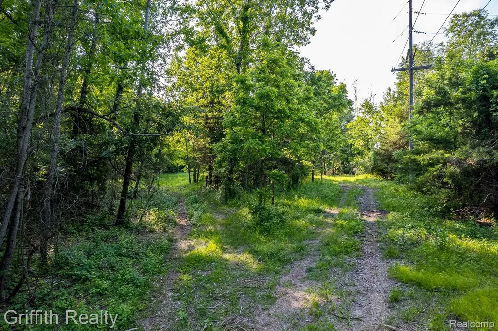 4433 Brighton Parcel B Road Genoa Township MI 48843