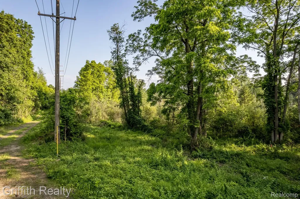 4433 Brighton Parcel B Road Genoa Township MI 48843