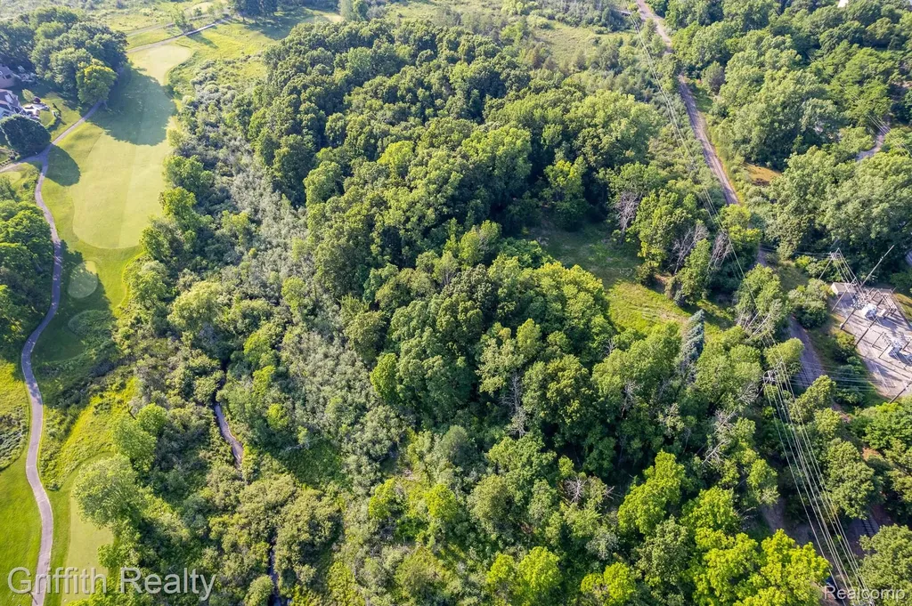 4433 Brighton Parcel B Road Genoa Township MI 48843