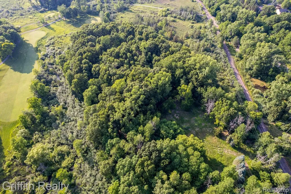 4433 Brighton Parcel B Road Genoa Township MI 48843