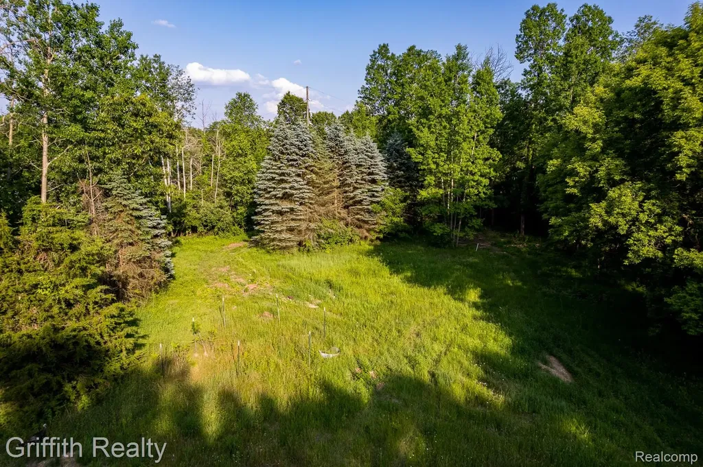 4433 Brighton Parcel B Road Genoa Township MI 48843