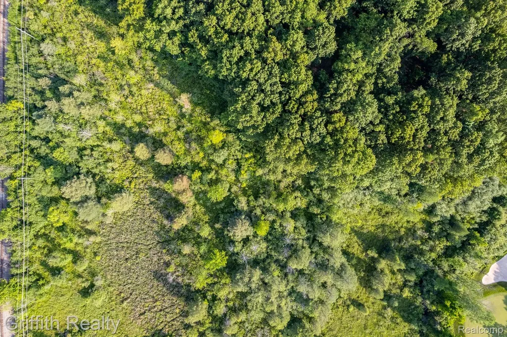 4433 Brighton Parcel B Road Genoa Township MI 48843