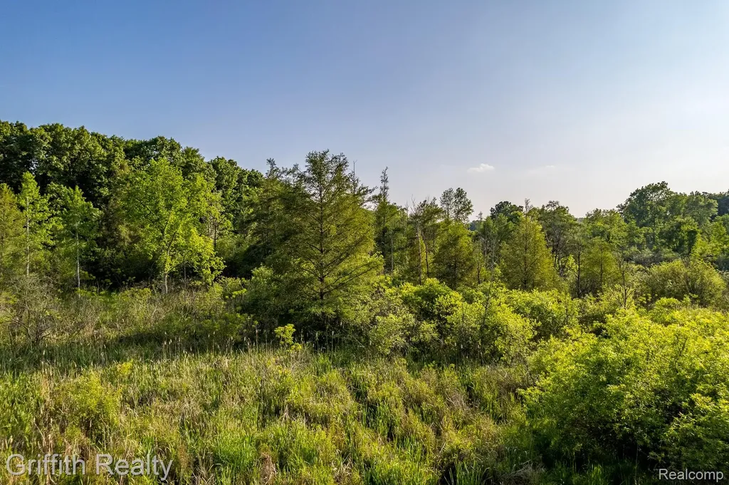 4433 Brighton Parcel B Road Genoa Township MI 48843