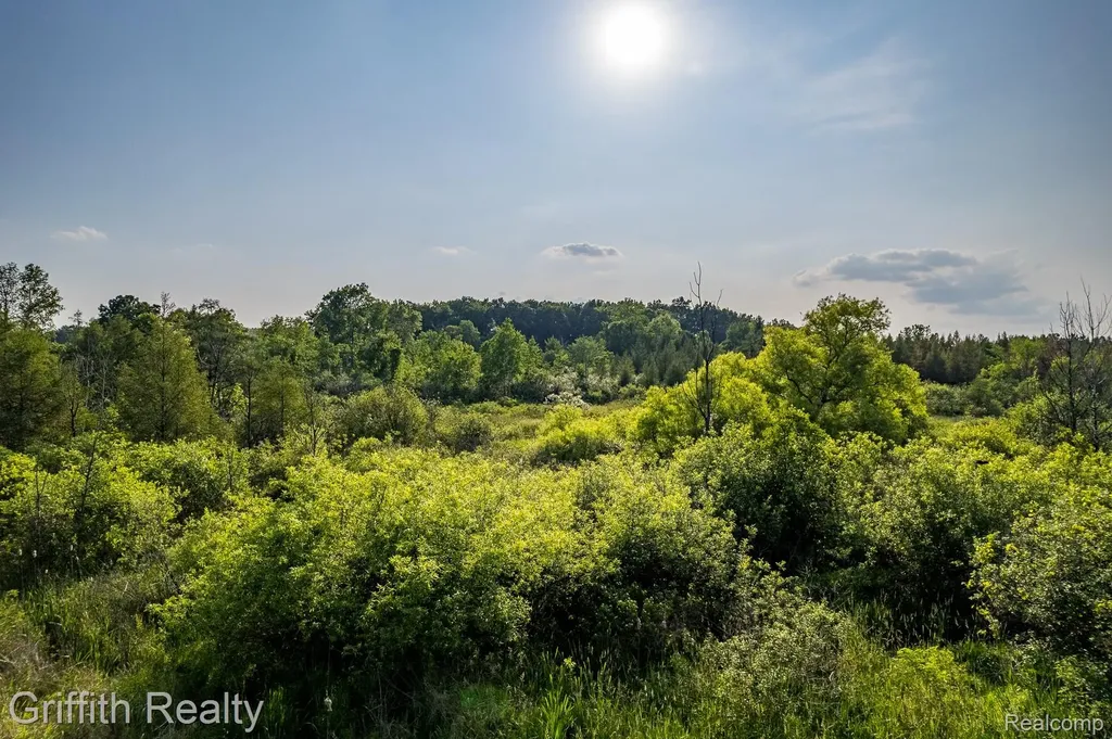 4433 Brighton Parcel B Road Genoa Township MI 48843
