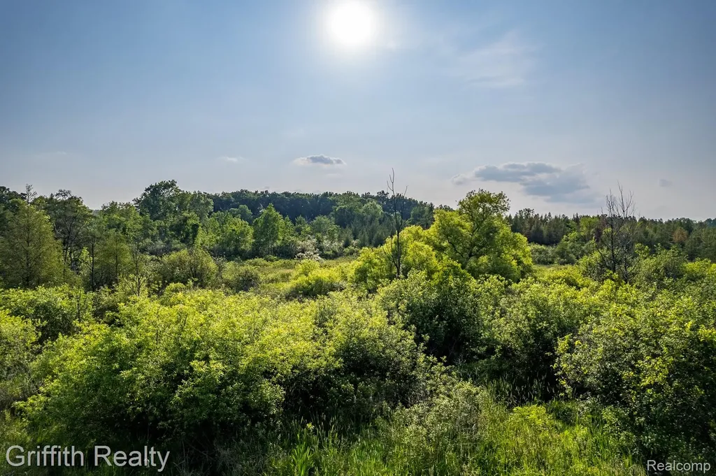 4433 Brighton Parcel B Road Genoa Township MI 48843