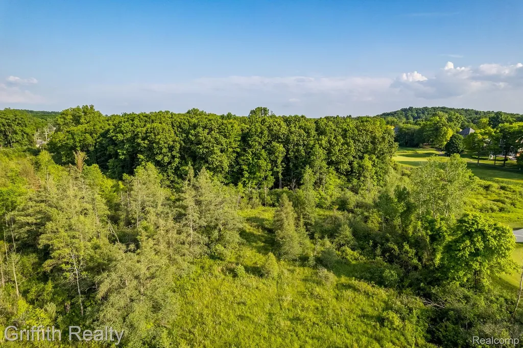 4433 Brighton Parcel B Road Genoa Township MI 48843
