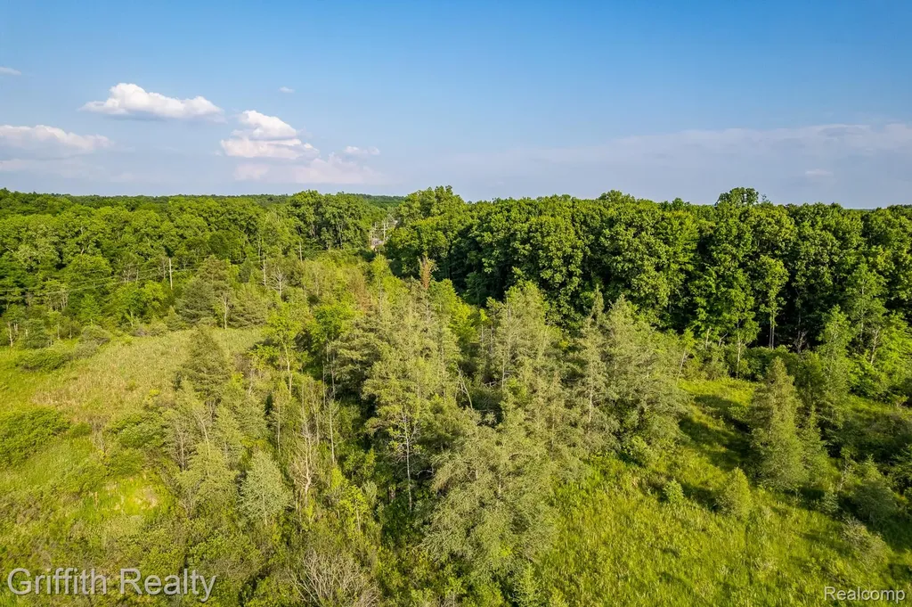 4433 Brighton Parcel B Road Genoa Township MI 48843