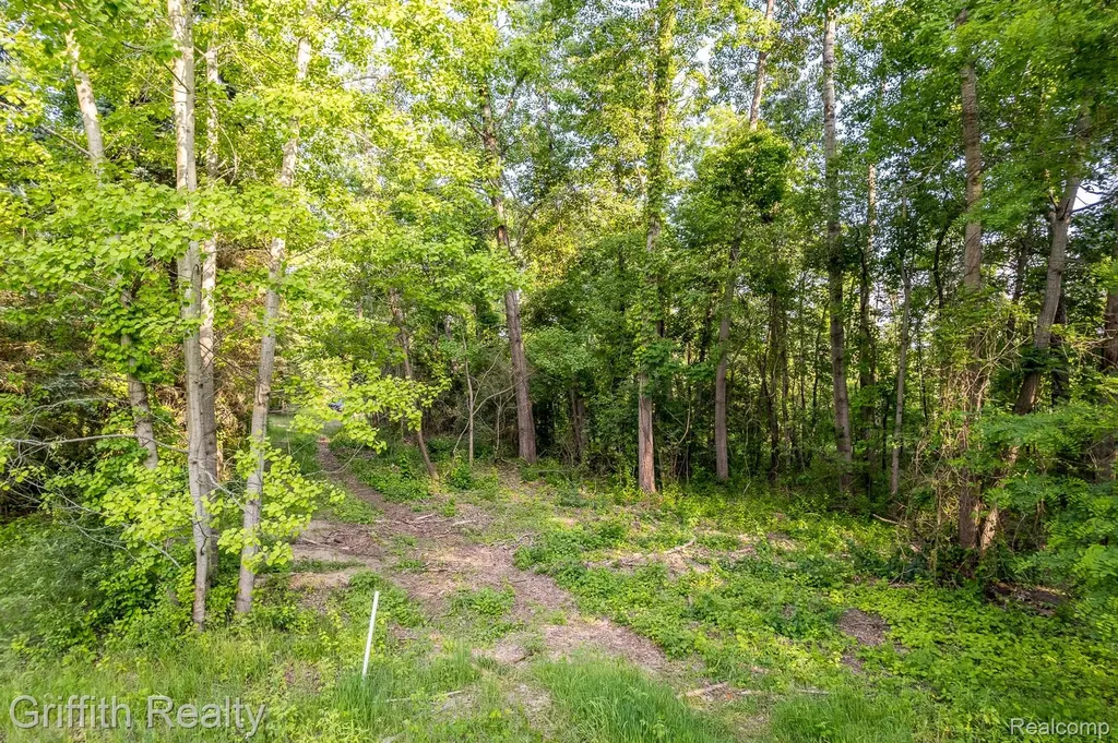4433 Brighton Parcel B Road Genoa Township MI 48843
