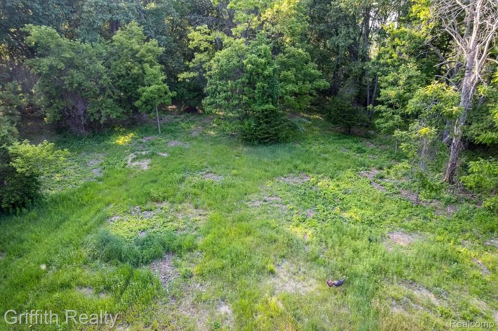 4433 Brighton Parcel B Road Genoa Township MI 48843
