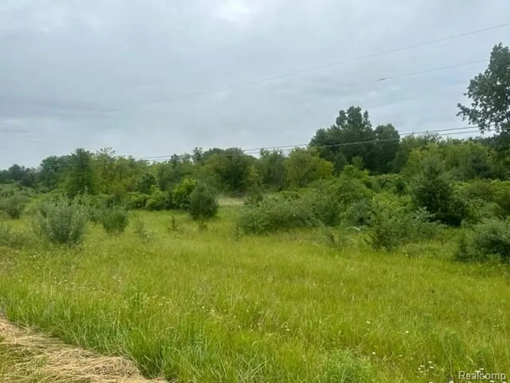 10.63(+/-) Acres Lapeer Road Davison City MI 48423