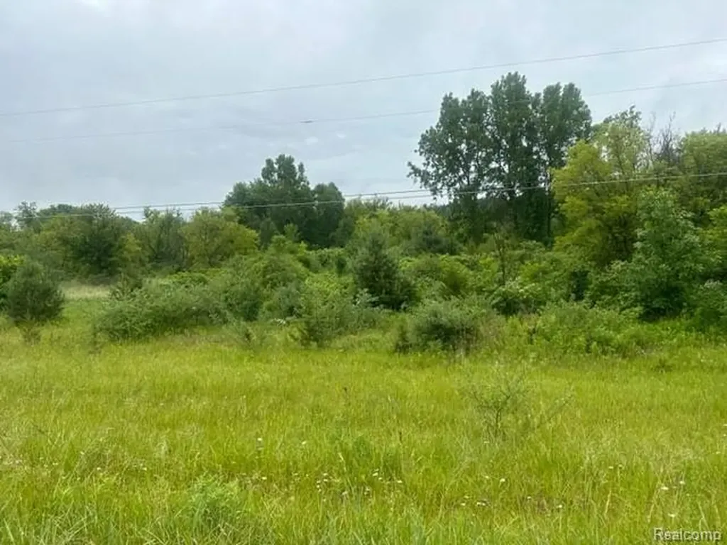 10.63(+/-) Acres Lapeer Road Davison City MI 48423