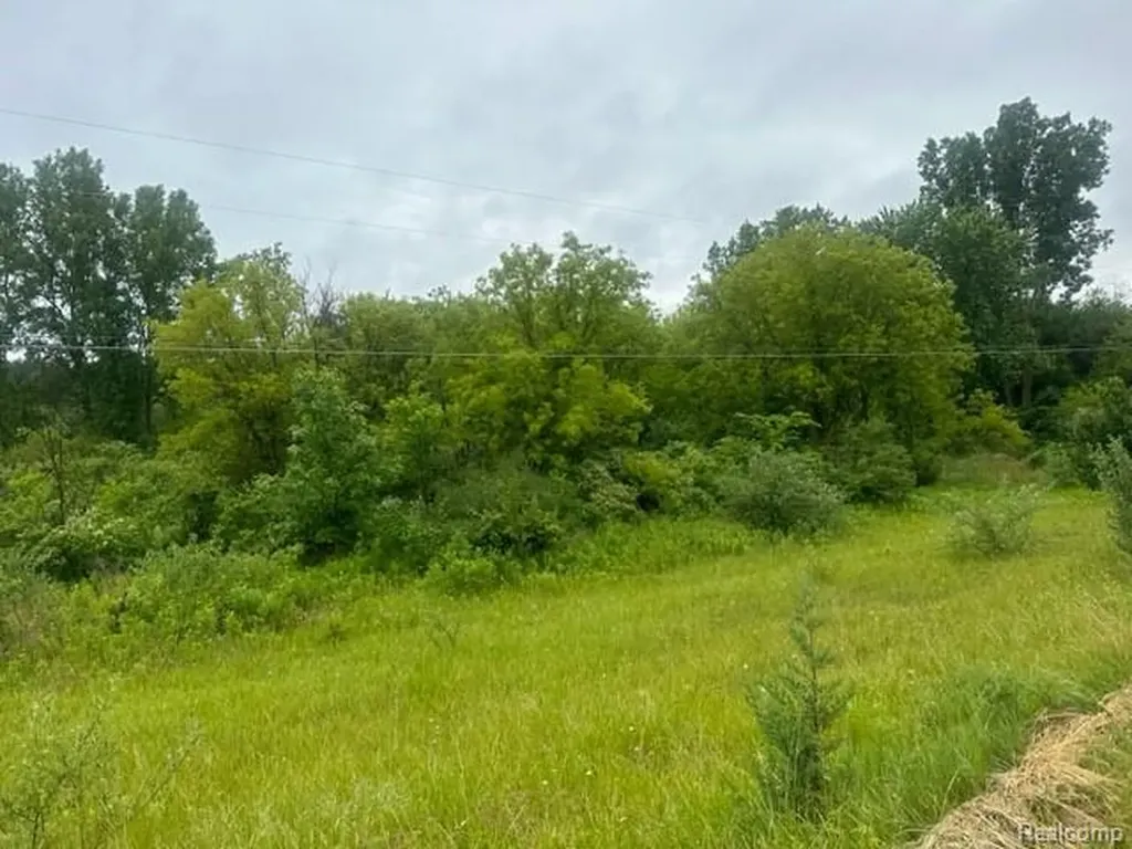 10.63(+/-) Acres Lapeer Road Davison City MI 48423