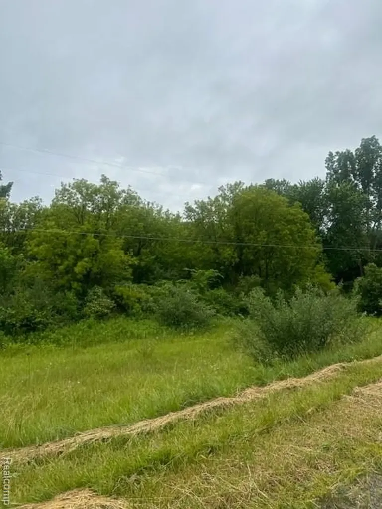 10.63(+/-) Acres Lapeer Road Davison City MI 48423