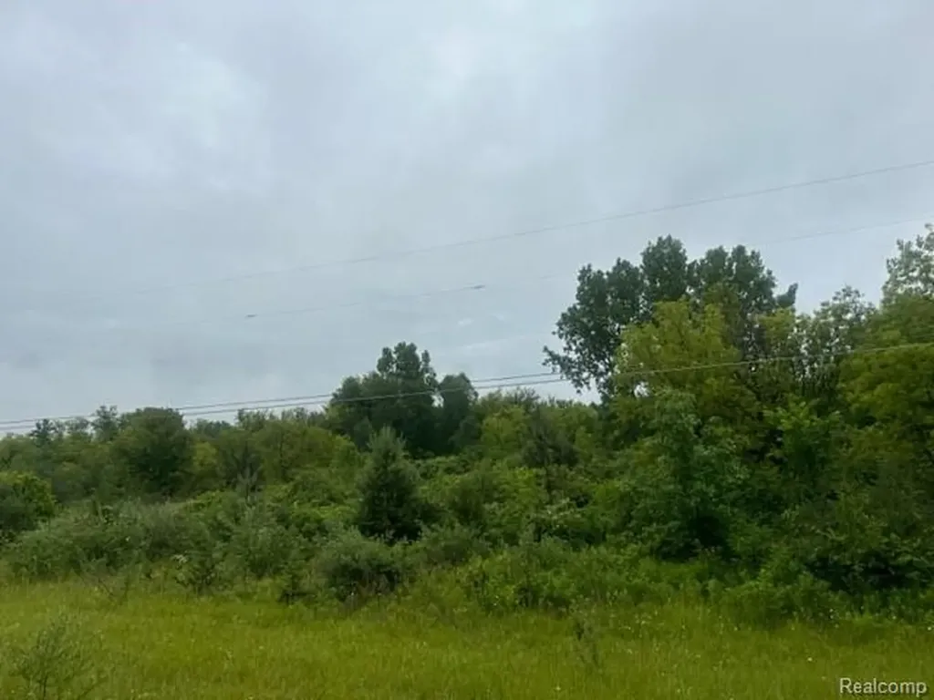 10.63(+/-) Acres Lapeer Road Davison City MI 48423