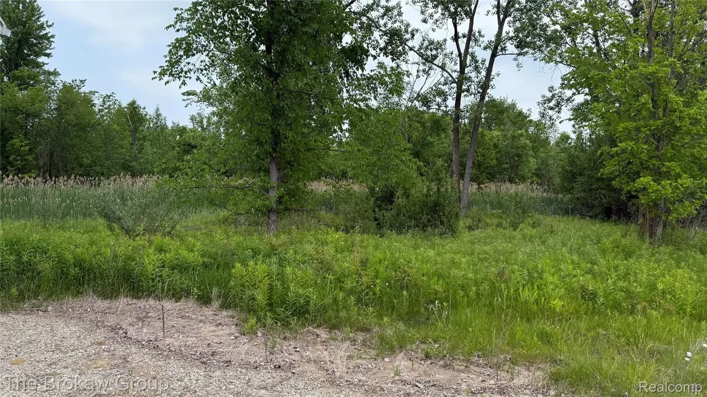 10696 Dunnigan Road Emmett Township MI 48022