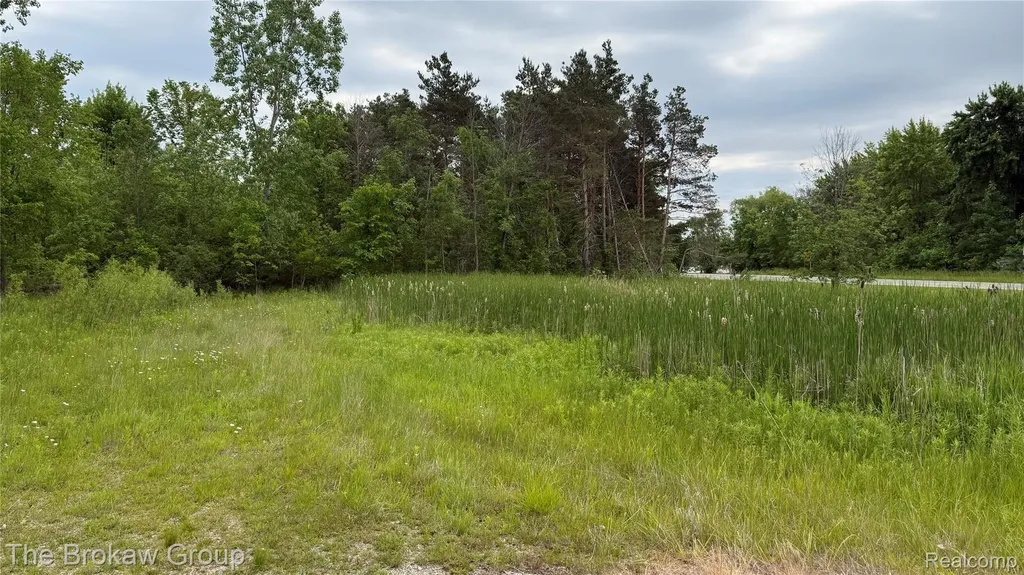 10696 Dunnigan Road Emmett Township MI 48022