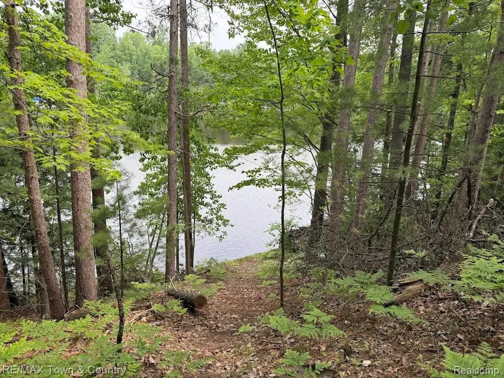 6450 Otter Trail Road Moffatt Township MI 48610