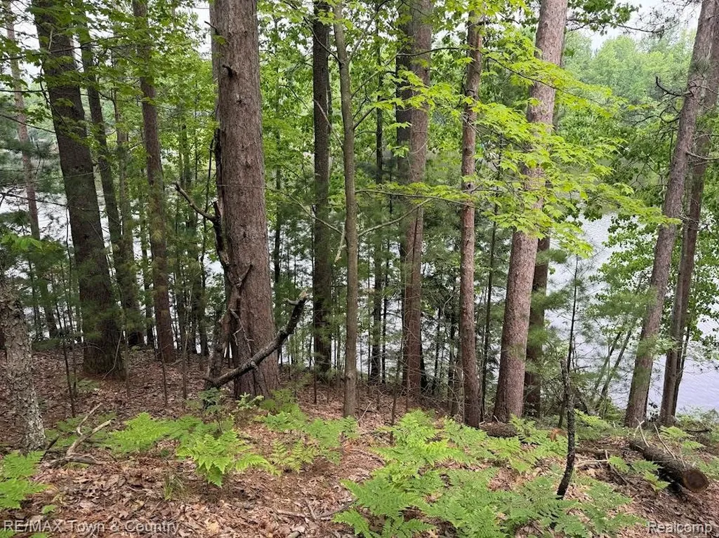 6450 Otter Trail Road Moffatt Township MI 48610
