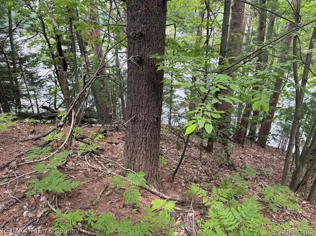 6450 Otter Trail Road Moffatt Township MI 48610