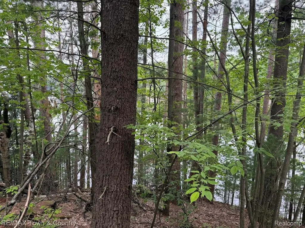 6450 Otter Trail Road Moffatt Township MI 48610