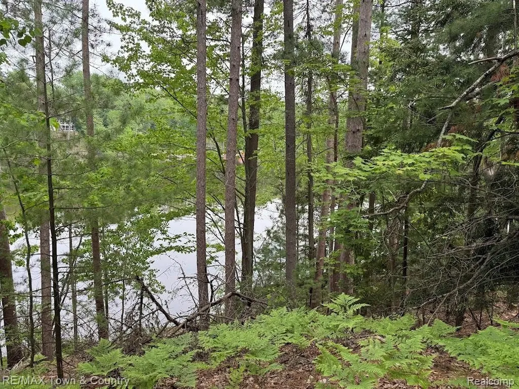 6450 Otter Trail Road Moffatt Township MI 48610