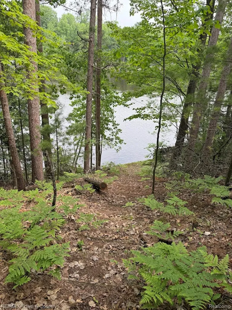 6450 Otter Trail Road Moffatt Township MI 48610