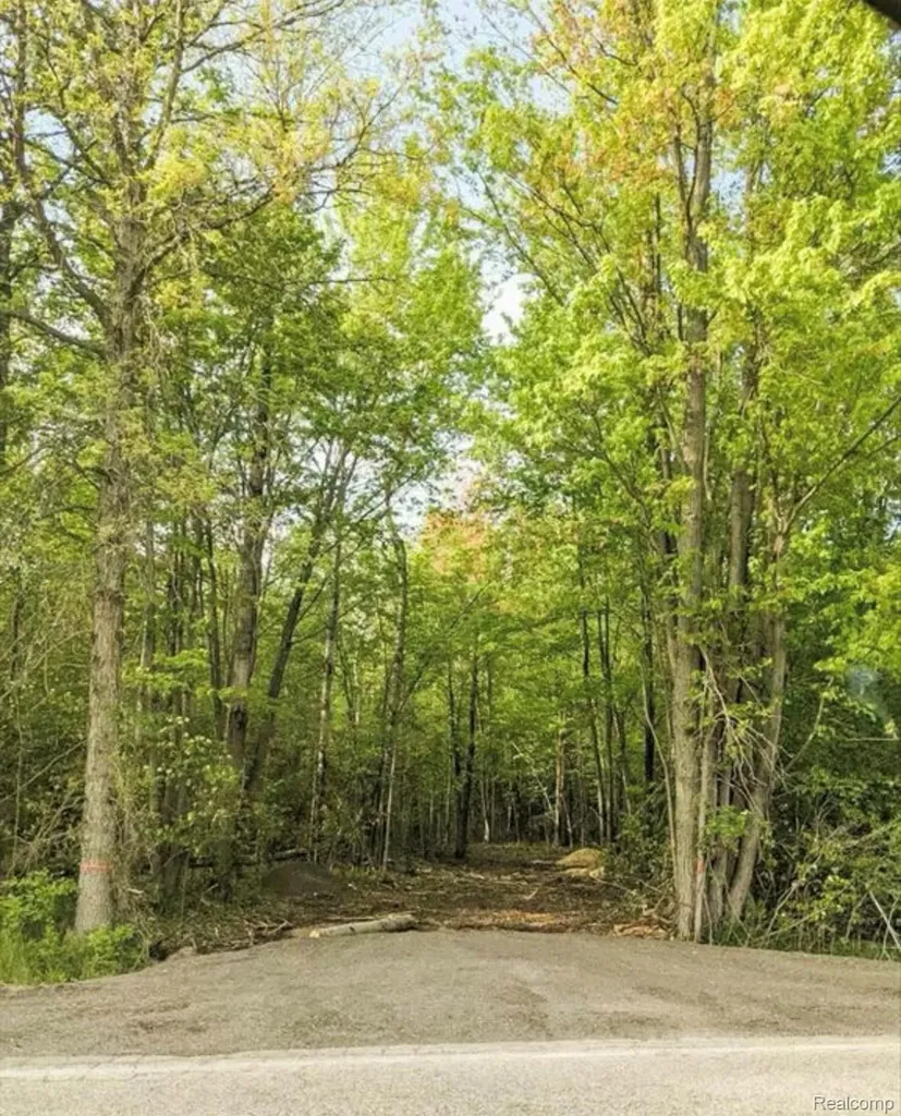9473 E Broomfield Road Chippewa Township MI 48858