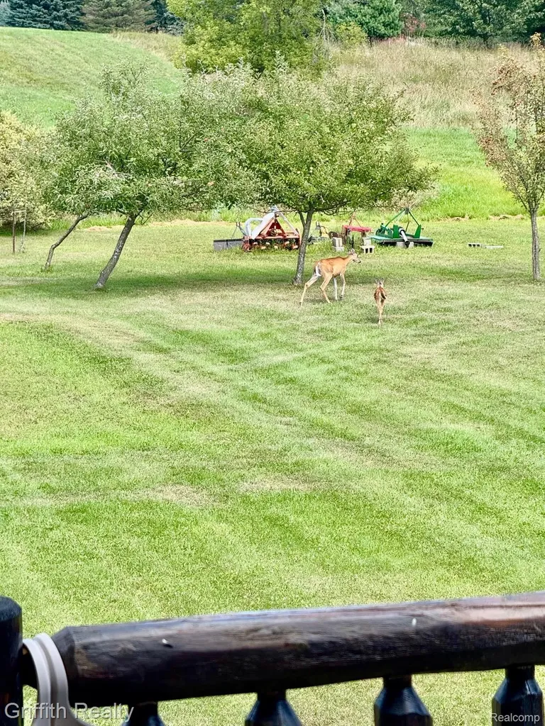 5748 W Coon Lake Road Marion Township MI 48843