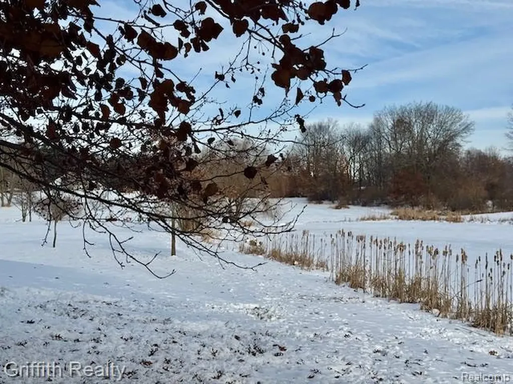 5748 W Coon Lake Road Marion Township MI 48843