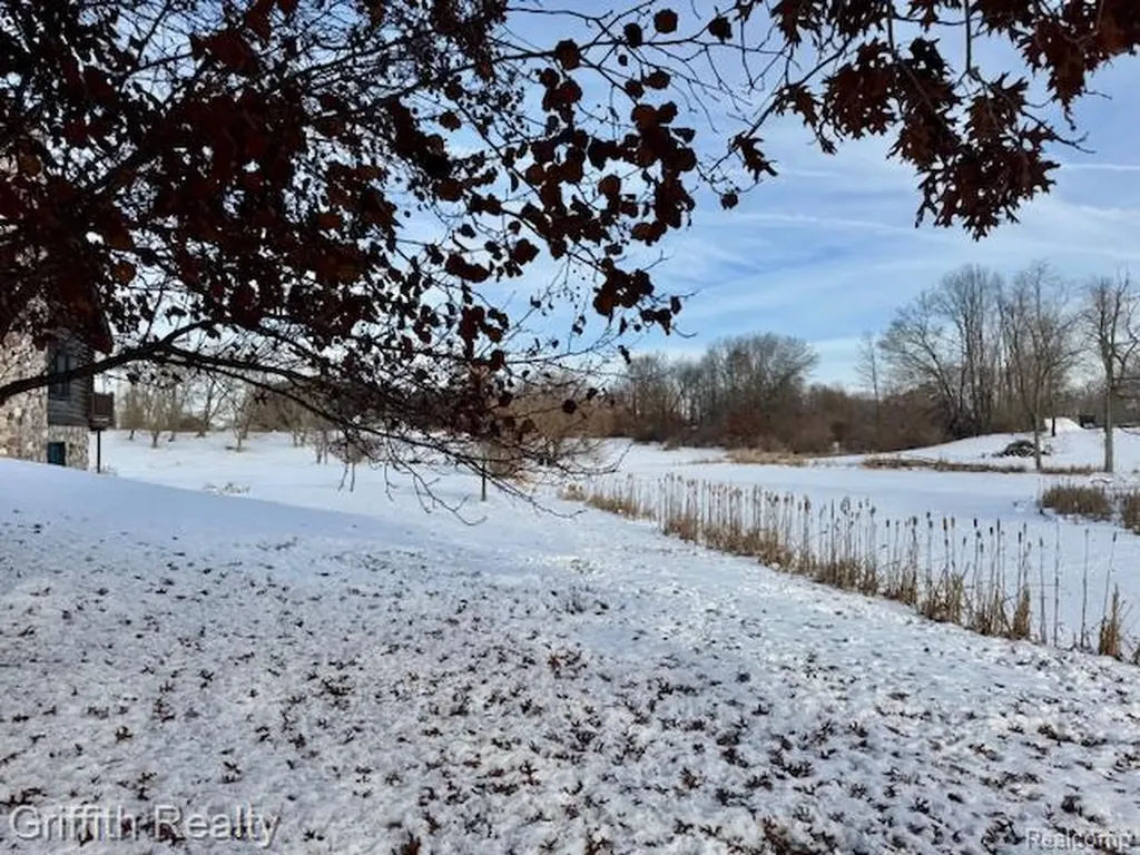 5748 W Coon Lake Road Marion Township MI 48843