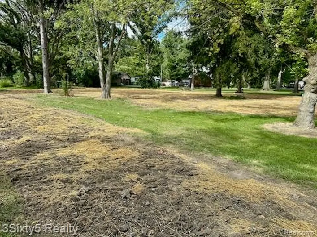 20223 Newman Drive Brownstown Charter Township MI 48183