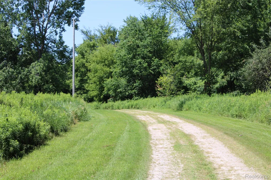 8300 Wiggins Road Deerfield Township MI 48855