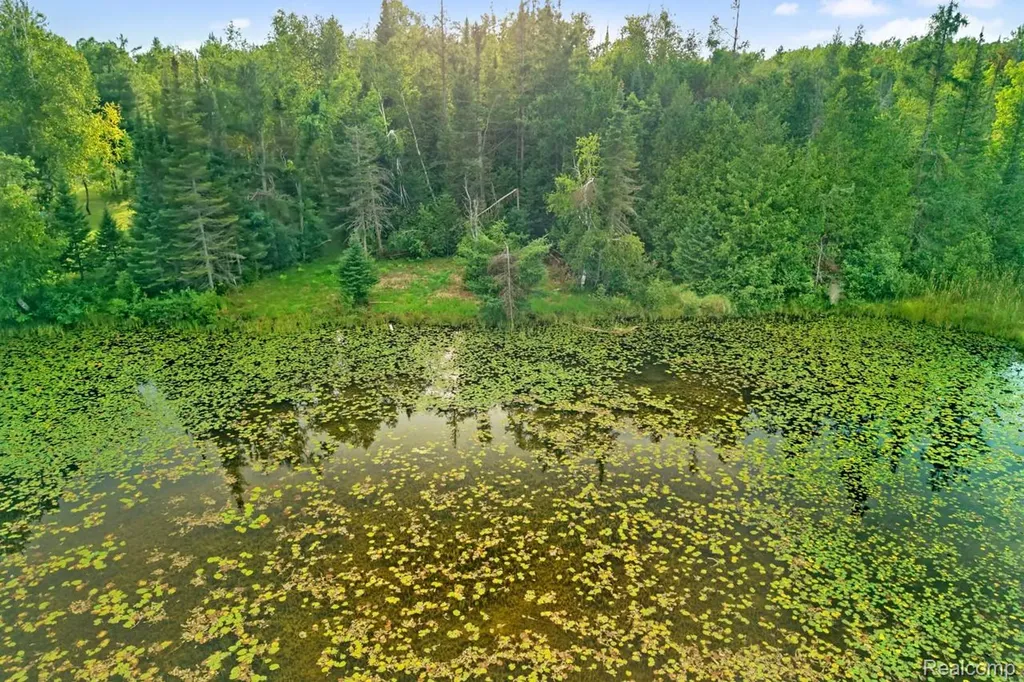 9720 E Kellyville Road Briley Township MI 49709