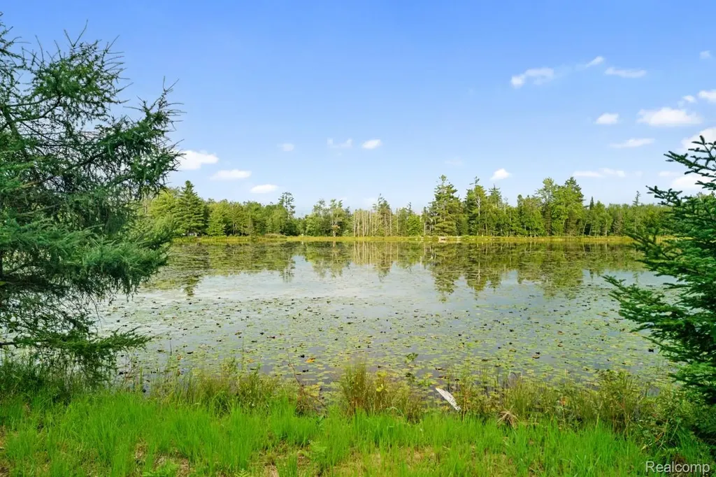 9720 E Kellyville Road Briley Township MI 49709