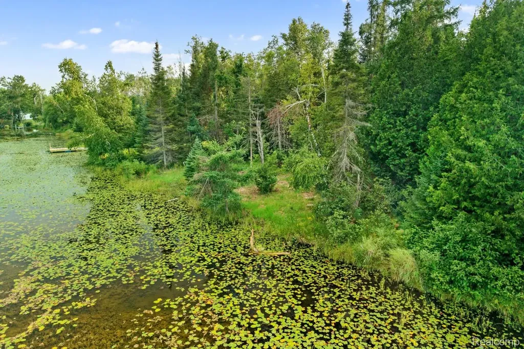 9720 E Kellyville Road Briley Township MI 49709