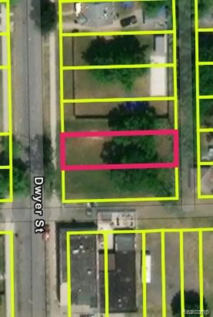 12828 Dwyer Street Hamtramck City MI 48212